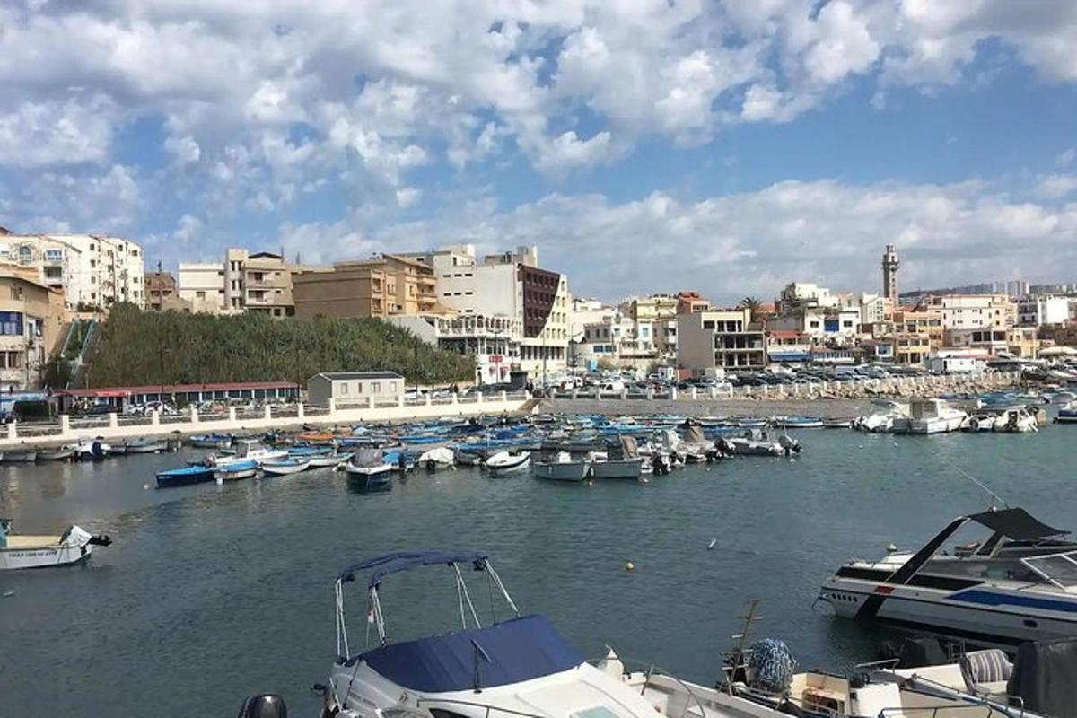 μια ομάδα σκαφών που δένουν σε ένα λιμάνι με κτίρια