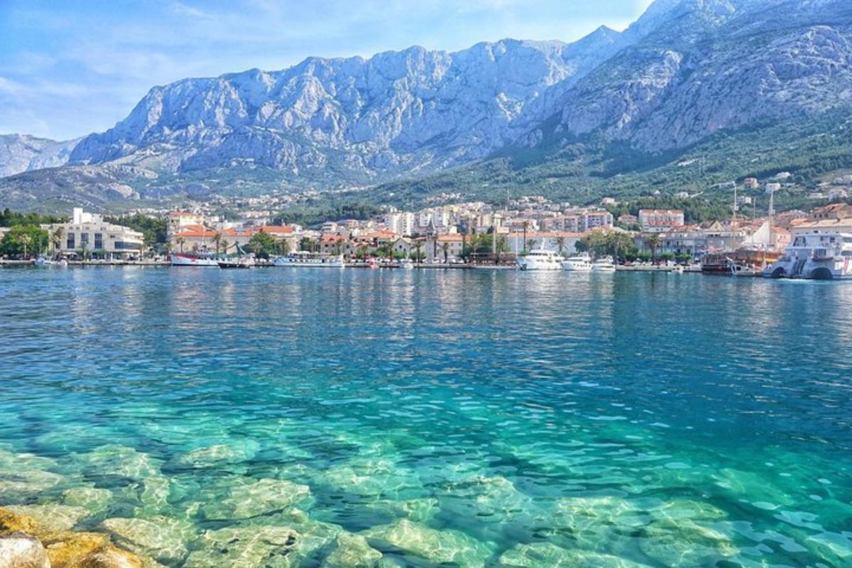 a large body of water with mountains in the background