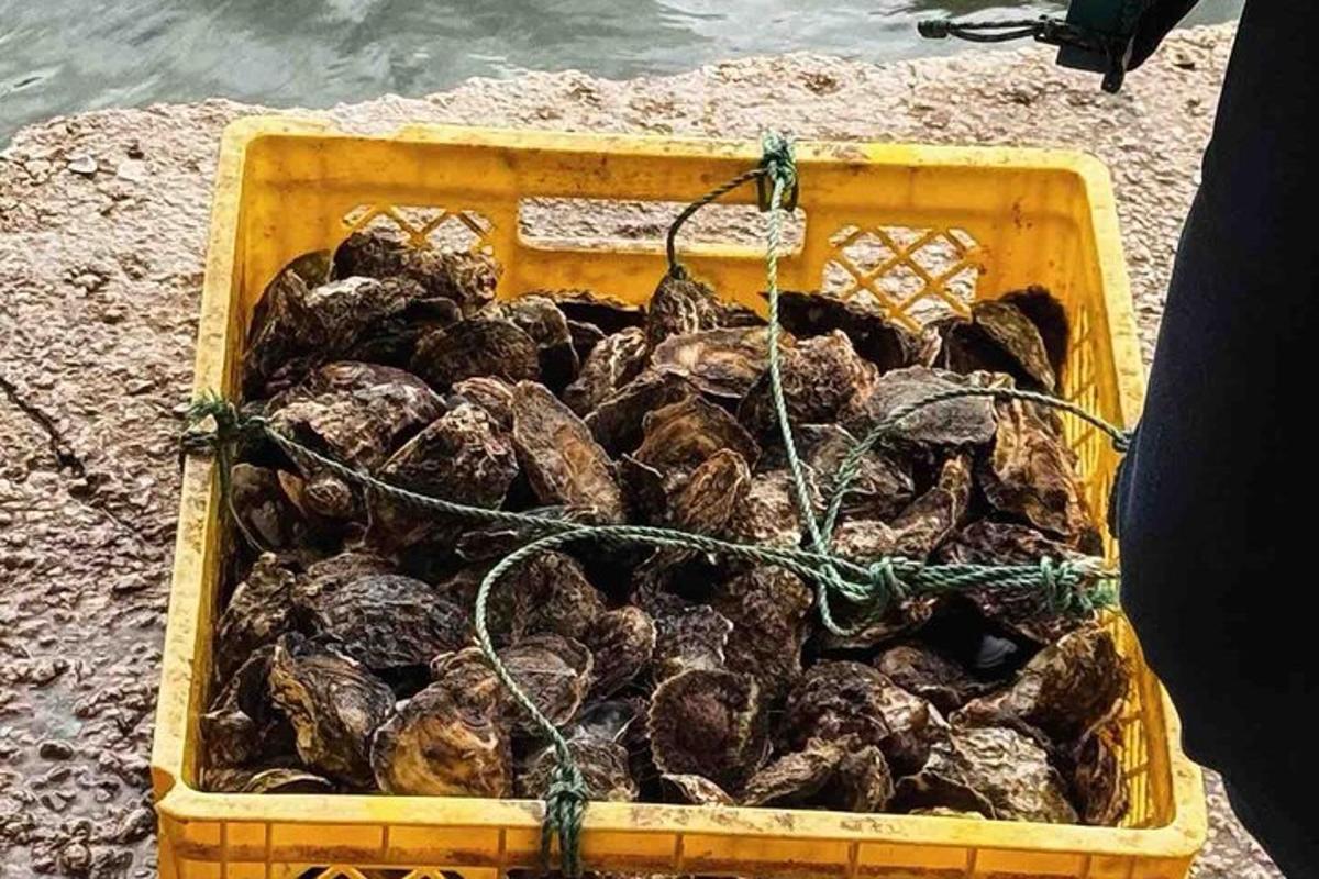 un cesto pieno di cozze nell'acqua