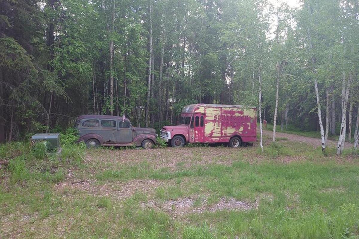 due vecchie auto parcheggiate in un campo in una foresta