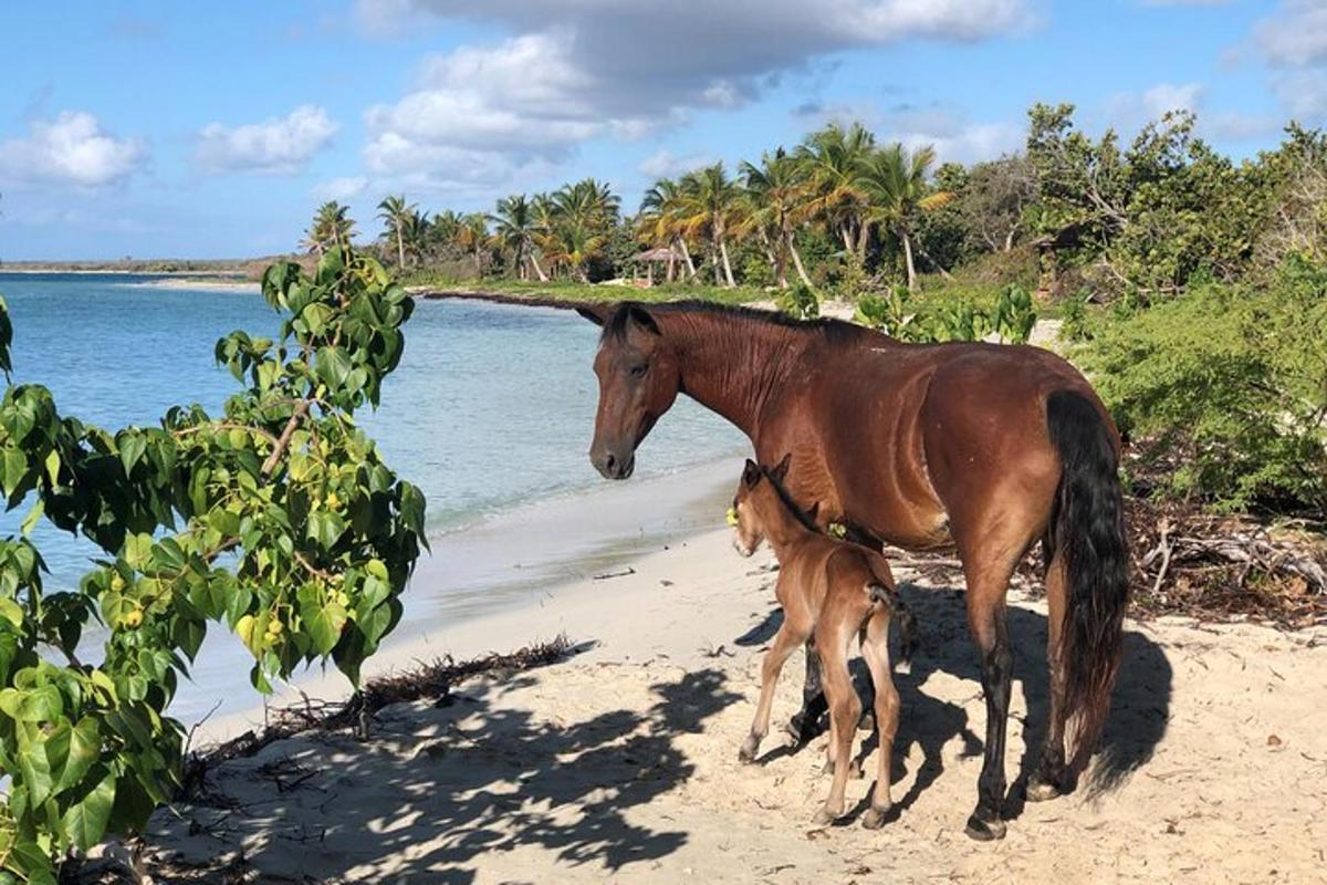 3枚目の観光スポット・アクティビティの写真