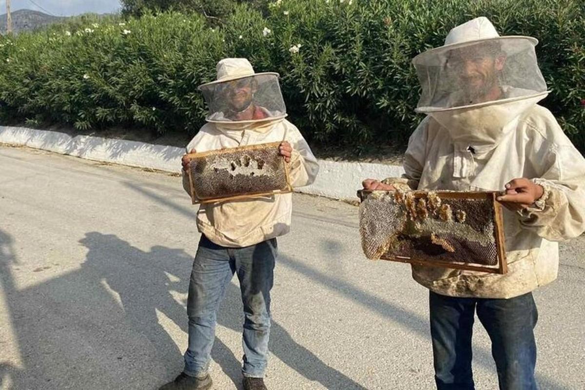 two people in protective suits with honeybees on the street