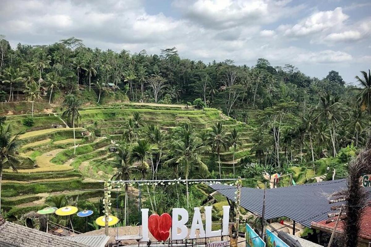 a resort with a view of a hill with palm trees