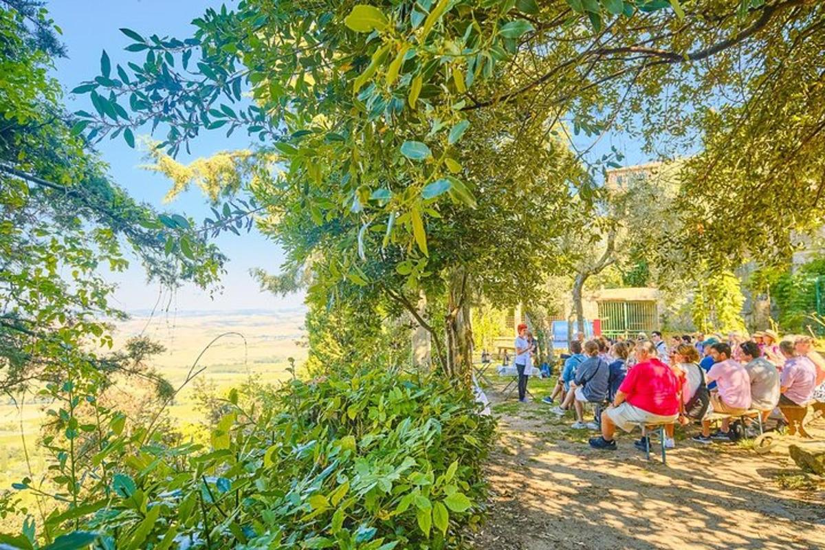 un grup de persones assegudes en cadires sota els arbres