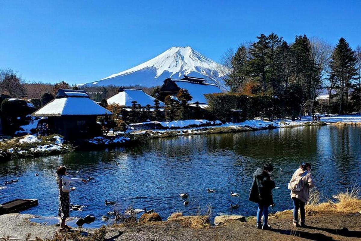 um grupo de pessoas em pé perto de um rio com uma montanha coberta de neve