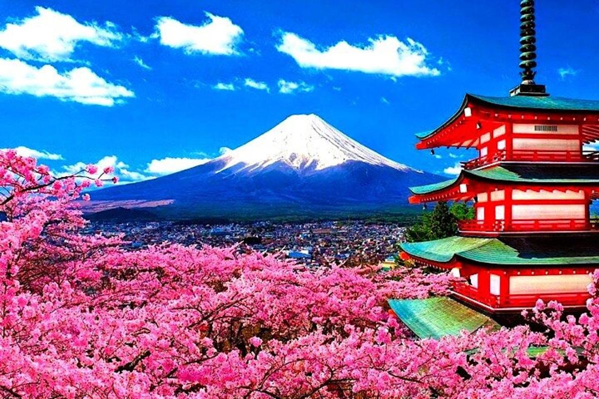 una montagna con fiori rosa di fronte a due pagode