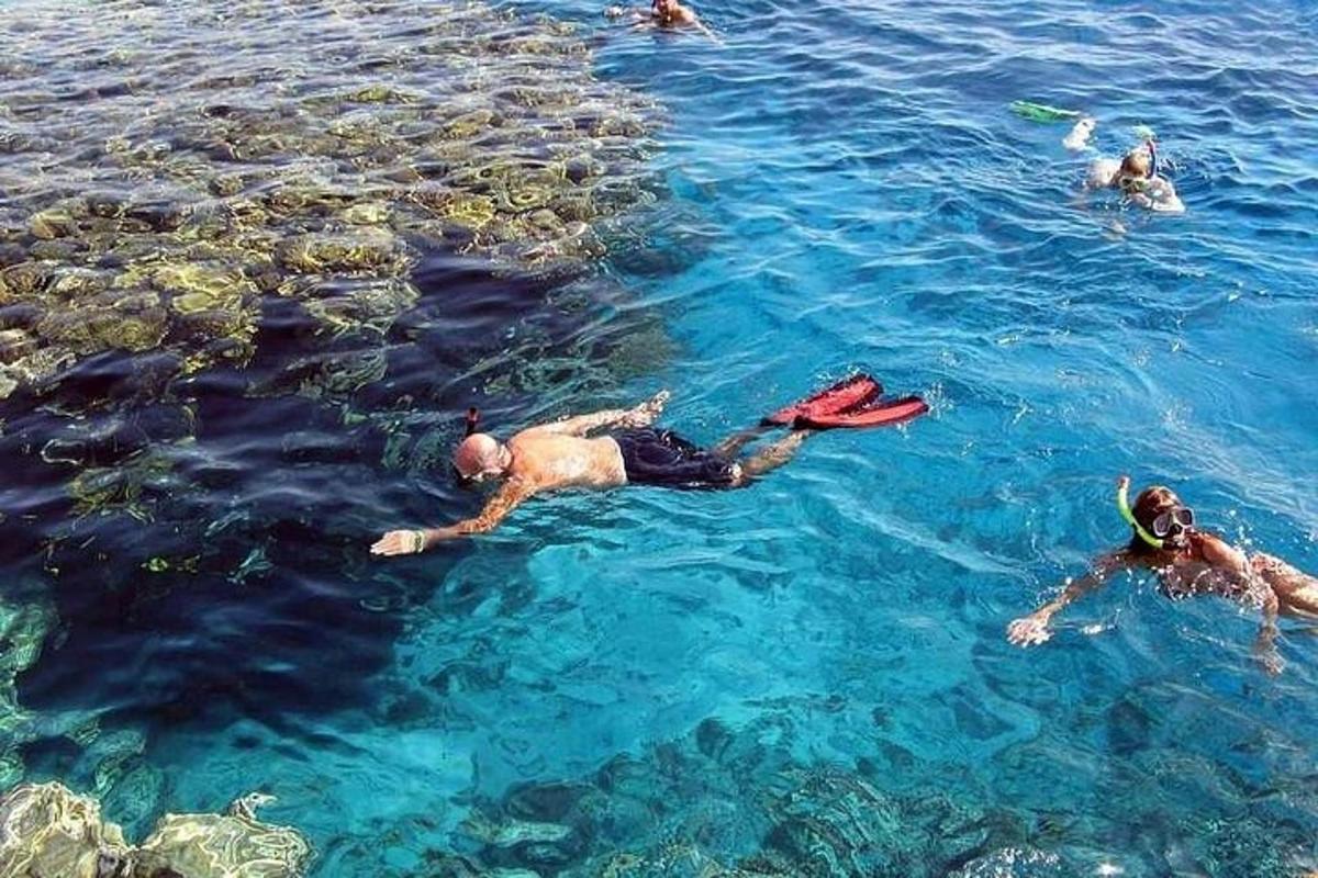 μια ομάδα ανθρώπων που κολυμπούν στο νερό