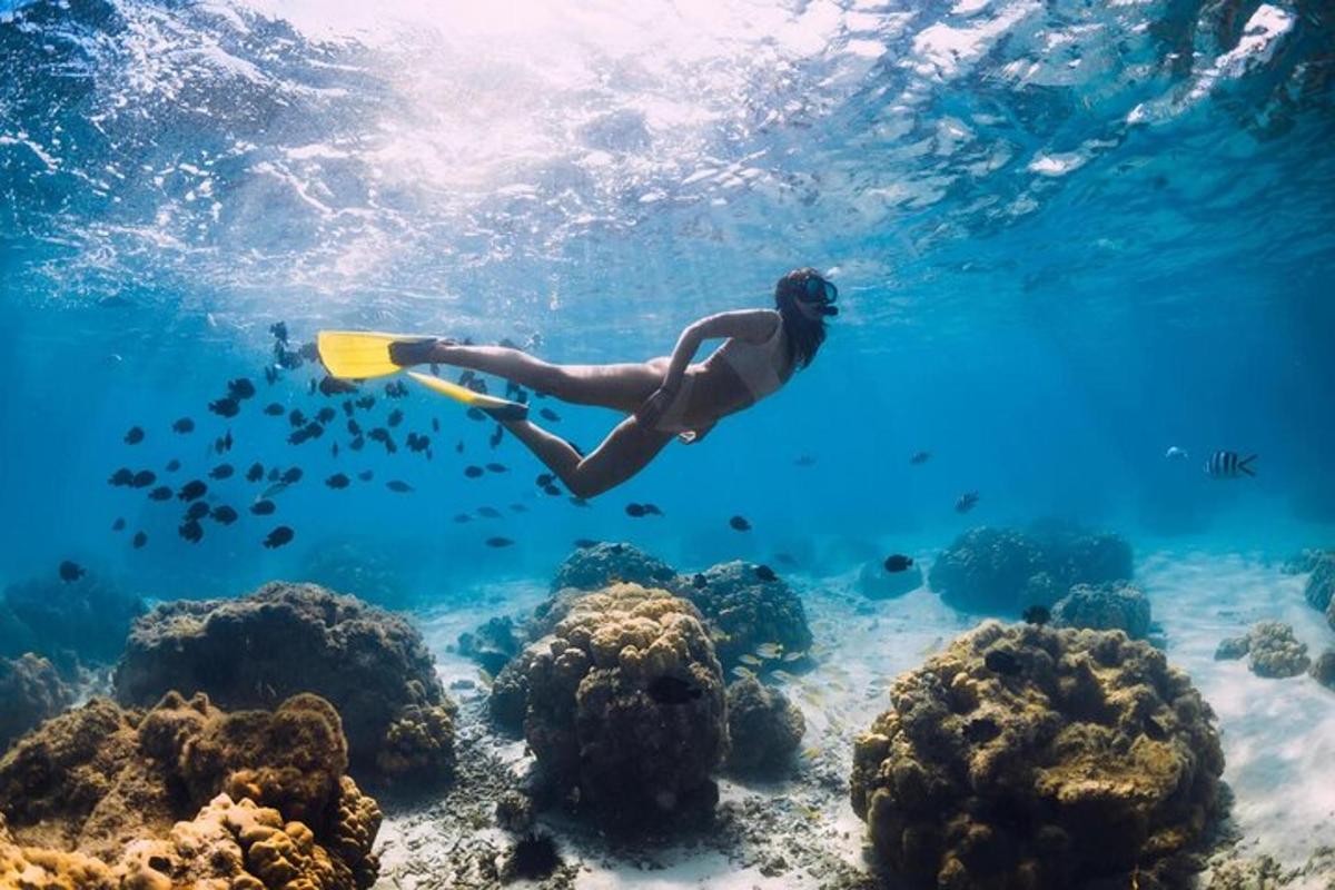 uma mulher está nadando sobre um recife de coral
