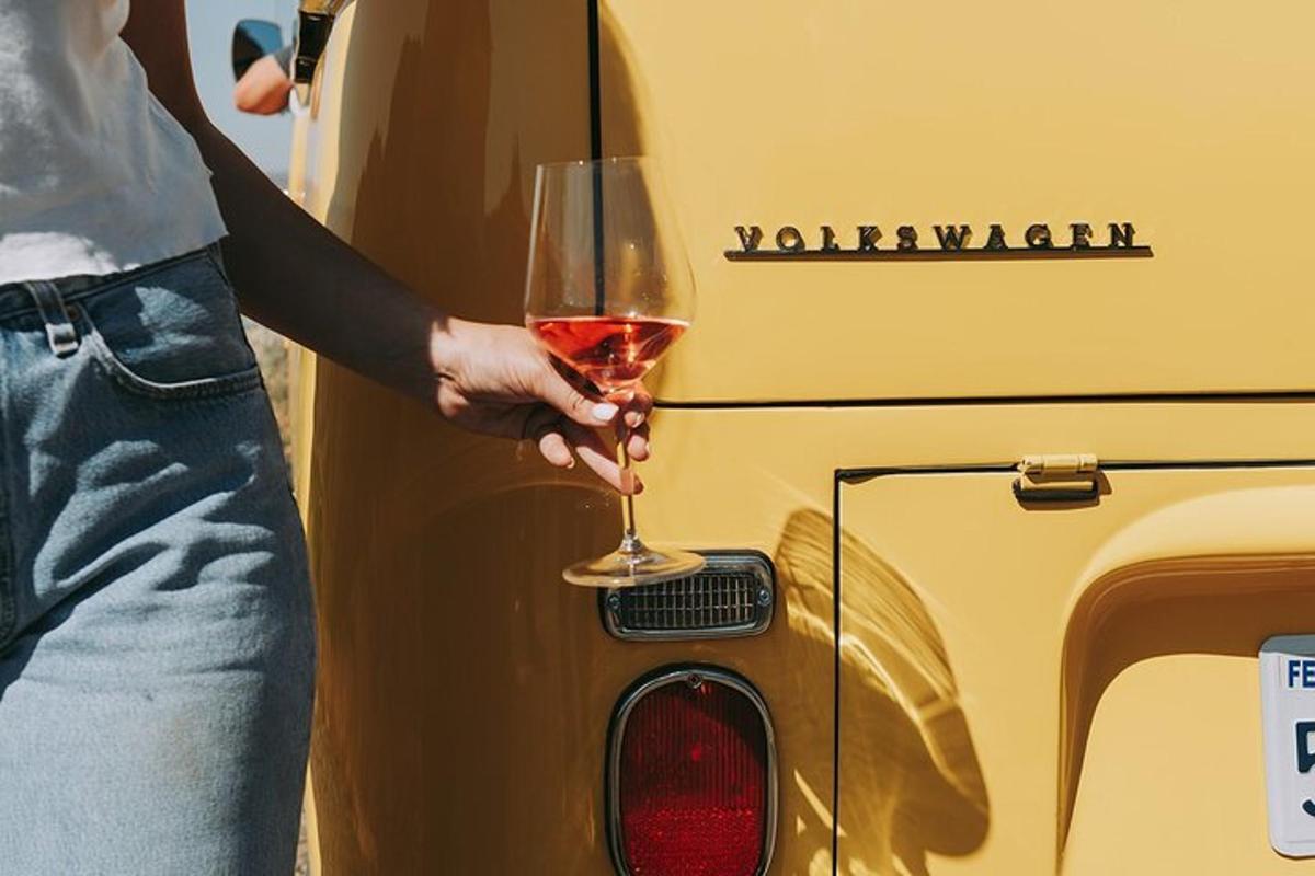 a person holding a glass of wine next to a van