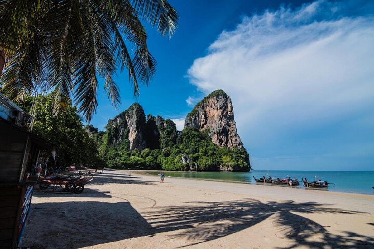 uma praia com uma palmeira e pedras na água