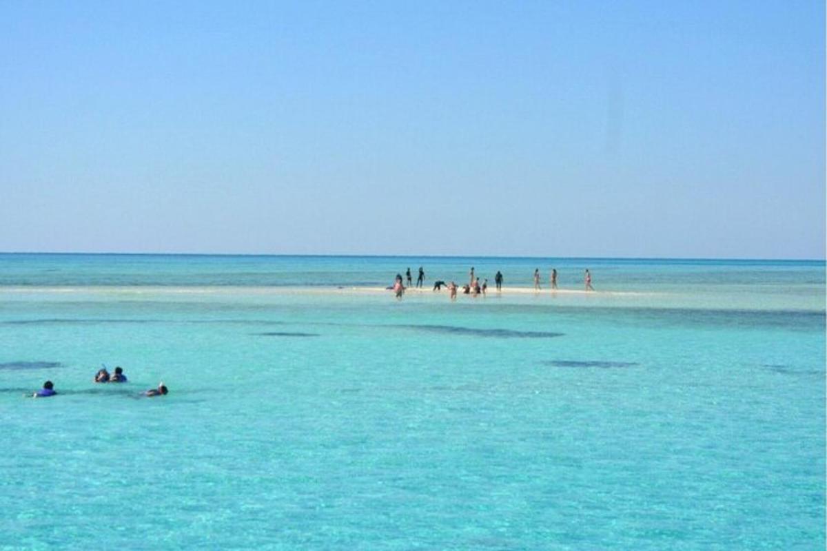 un gruppo di persone in acqua su una spiaggia
