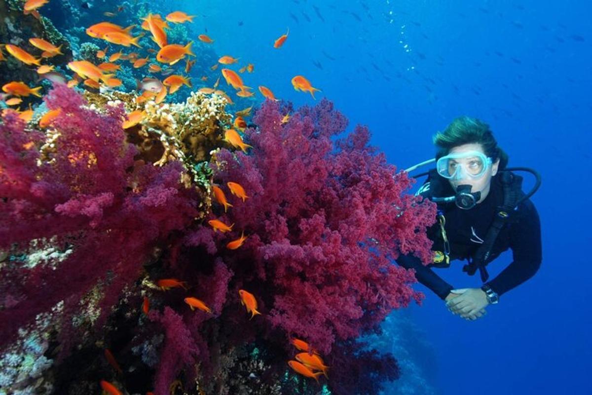 un uomo nell'oceano vicino a una barriera corallina