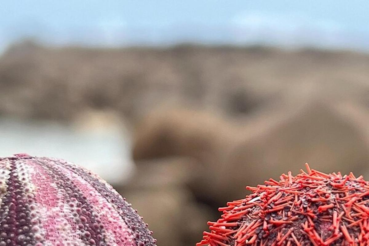 a close up of a person wearing a hat