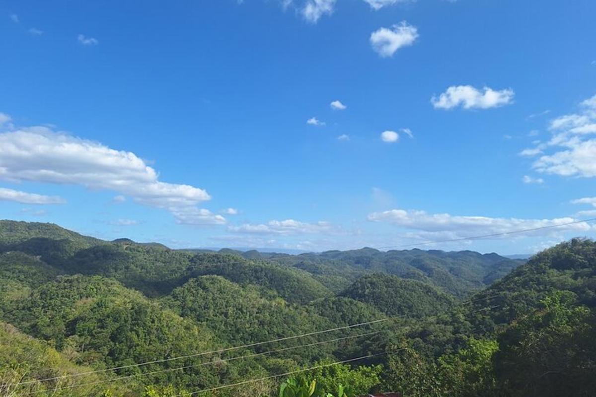 a view of a forested area with power lines
