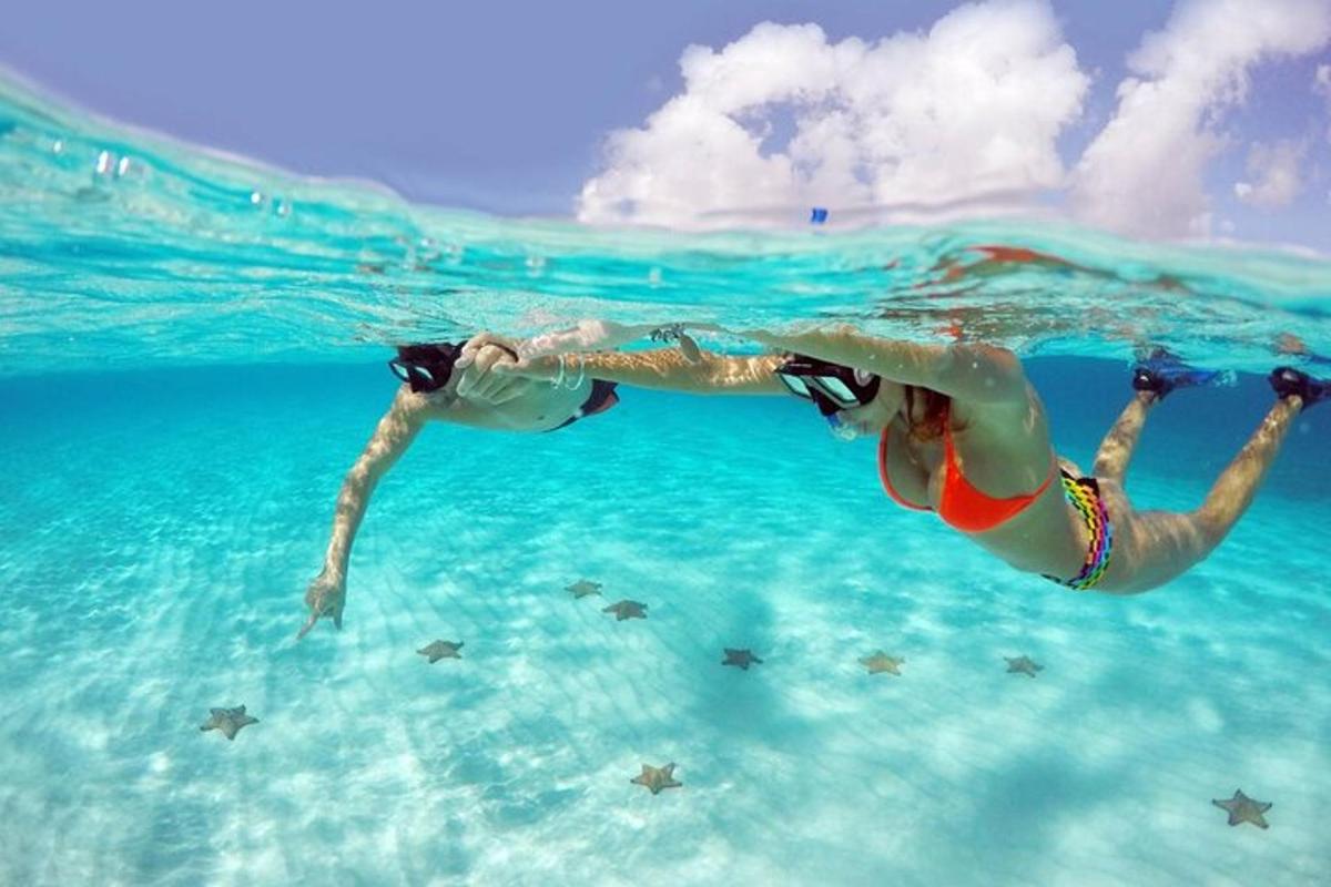 a woman swimming in the water in the ocean