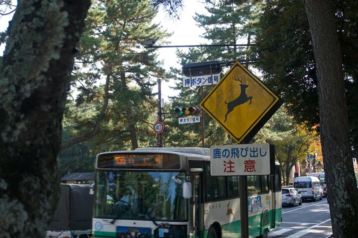 městský autobus jedoucí po ulici se značkou