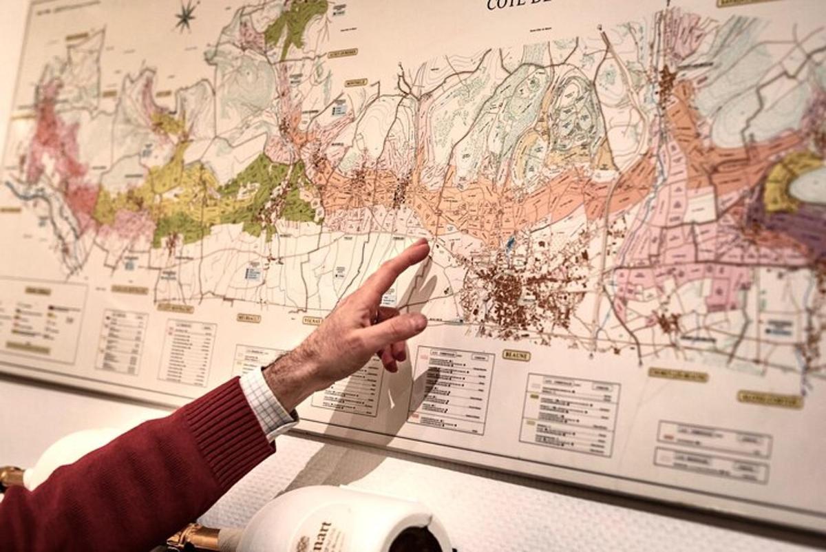 a person pointing to a map on a wall