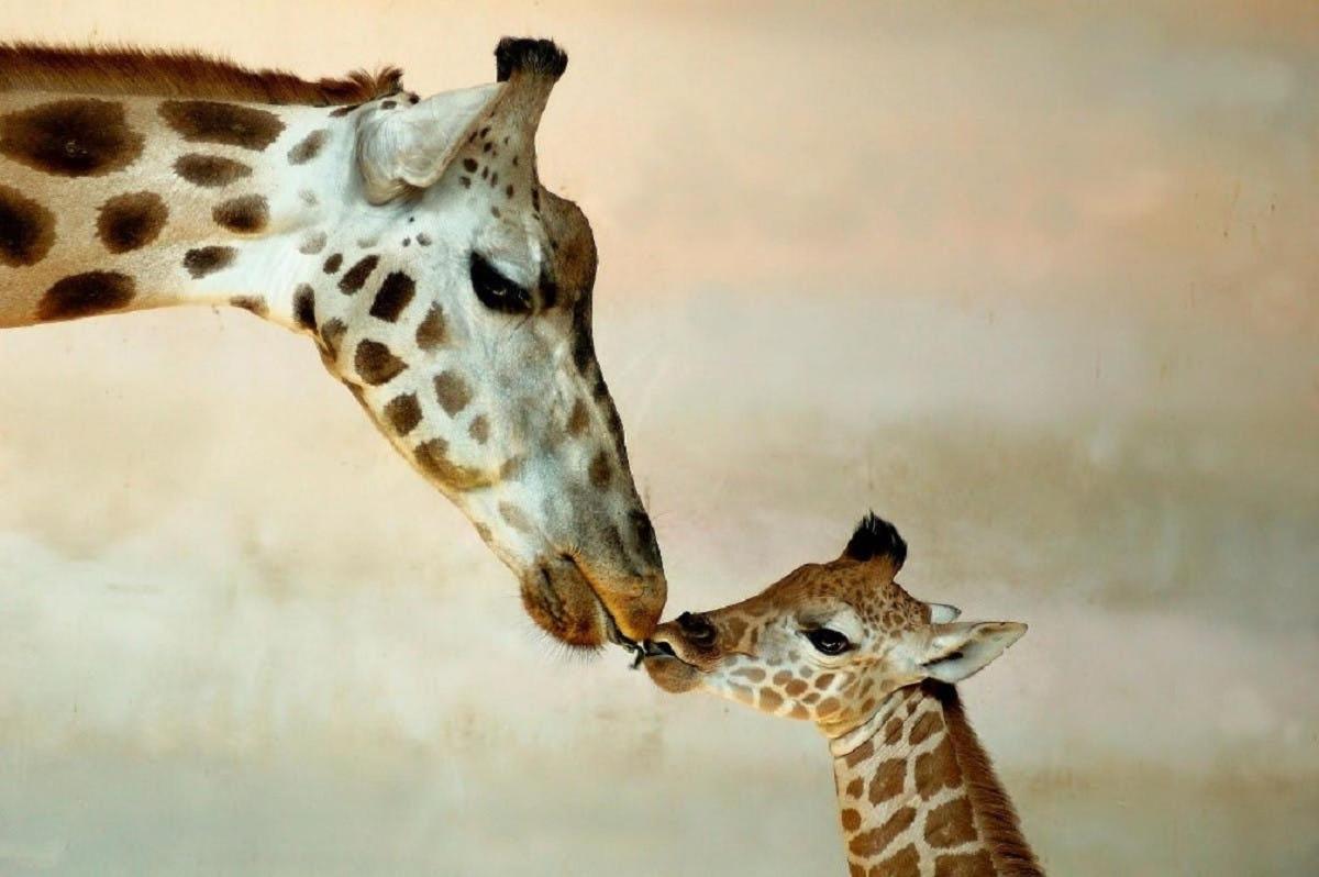 Attraction picture 3