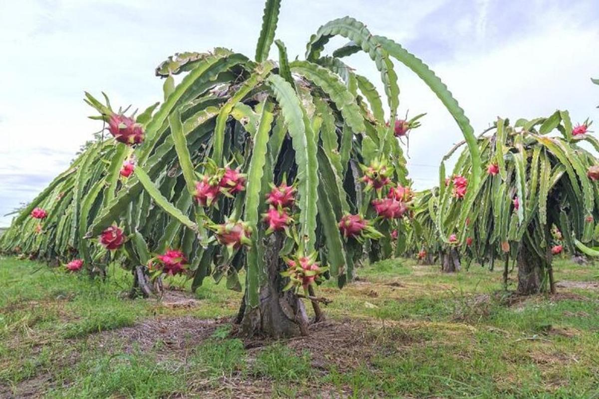 4 foto atraksi wisata