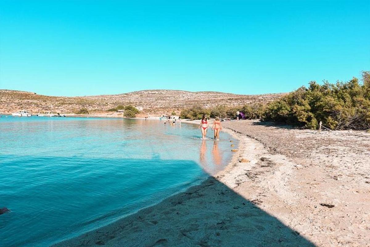 a group of people walking in the water on a beach