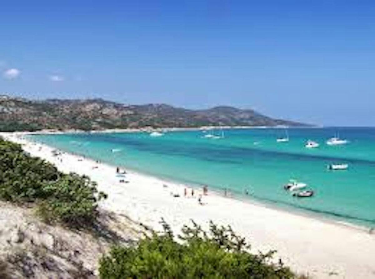 μια παραλία με ανθρώπους και βάρκες στο νερό