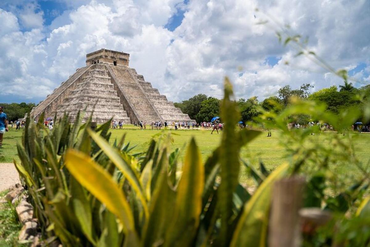 una piramide in mezzo a un campo con piante