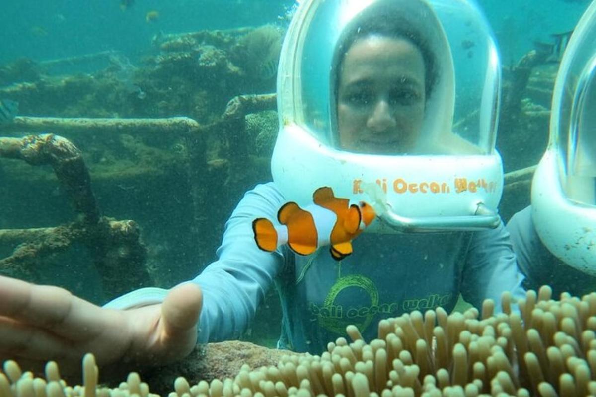 Un hombre en un acuario con un casco de buceo.