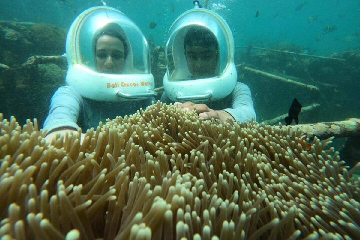 Dos personas con trajes de buceo mirando un arrecife de coral.