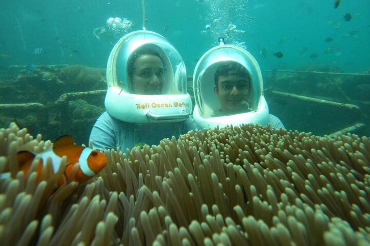 Dos personas con equipo de buceo en el agua