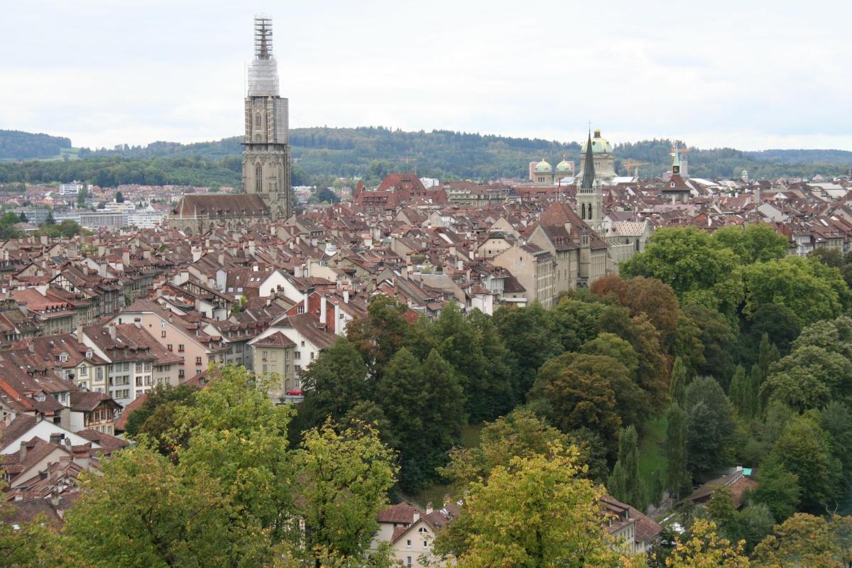 una vista di una città con edifici e alberi