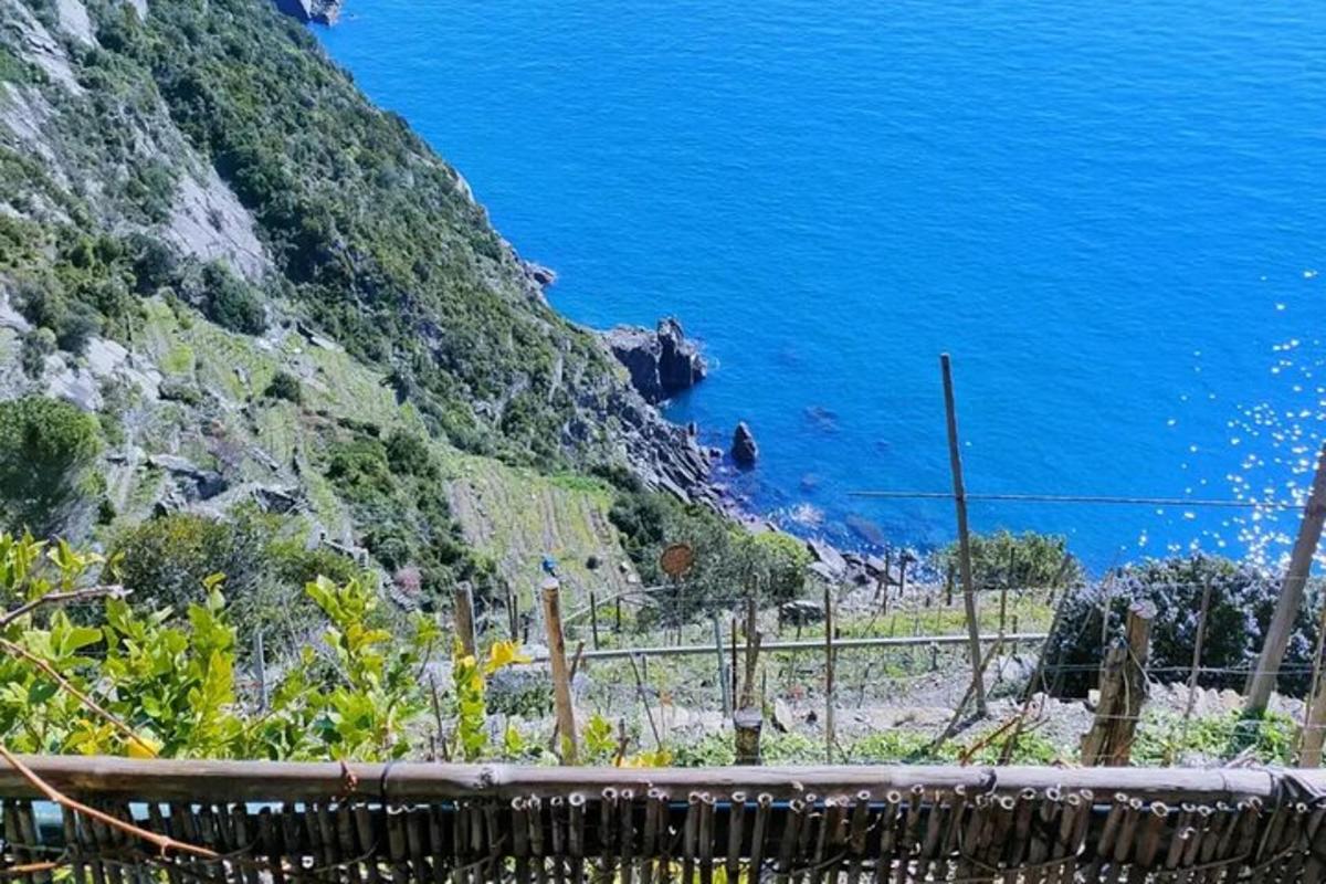 una vista dell'oceano blu da una collina