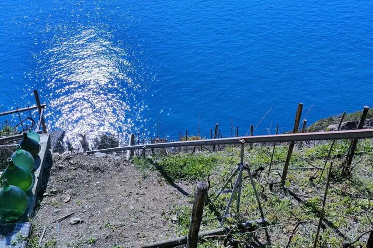 una vista dell'oceano blu con una recinzione e acqua