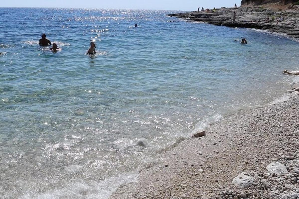 skupina ljudi v vodi na plaži