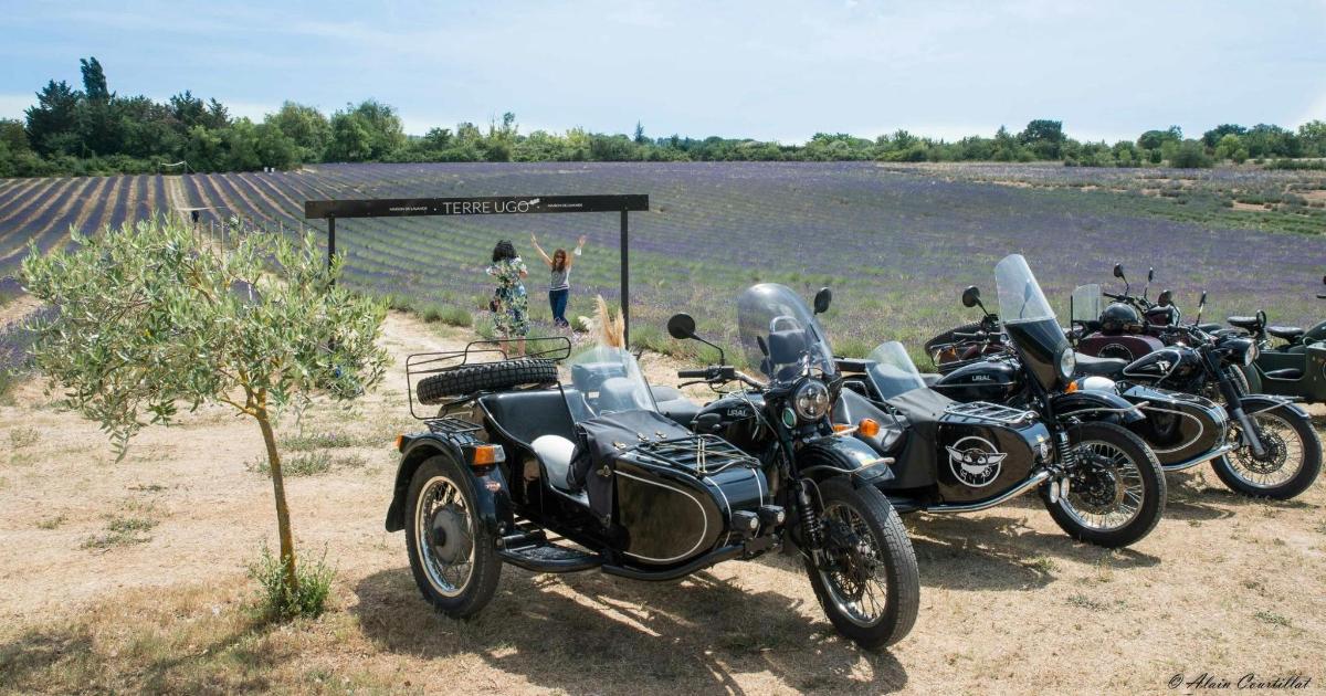 skupina motocyklů zaparkovaných vedle pole