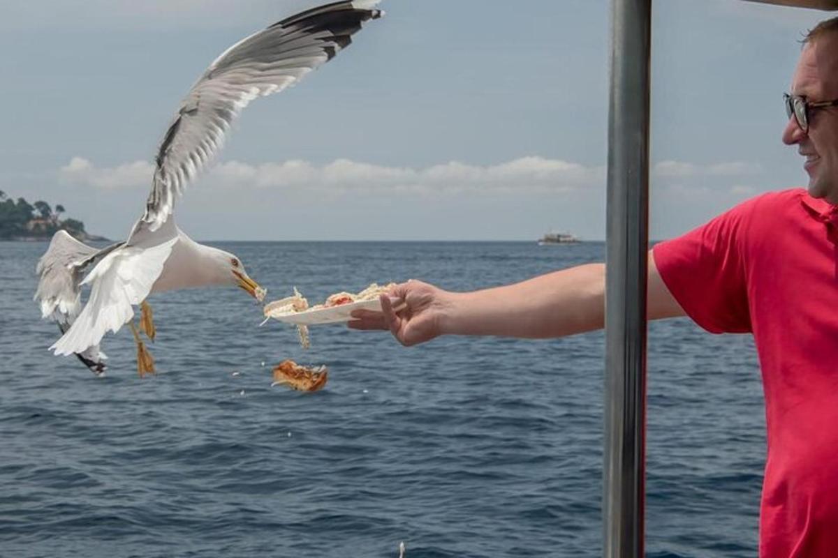 un uomo che dà da mangiare a un gabbiano che mangia il cibo dalla sua mano