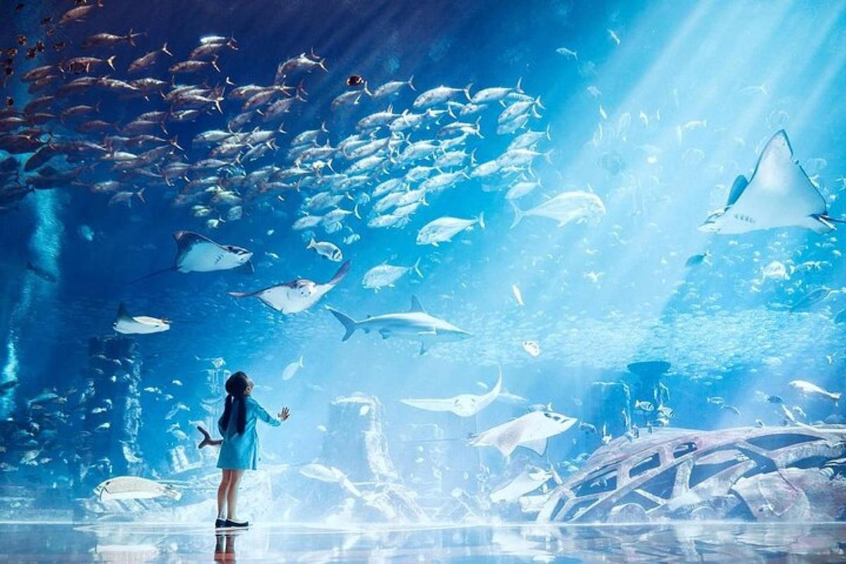 a woman looking at a fish tank in an aquarium