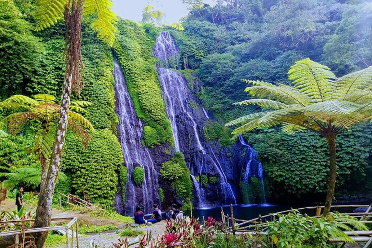 un murale di una cascata in una foresta