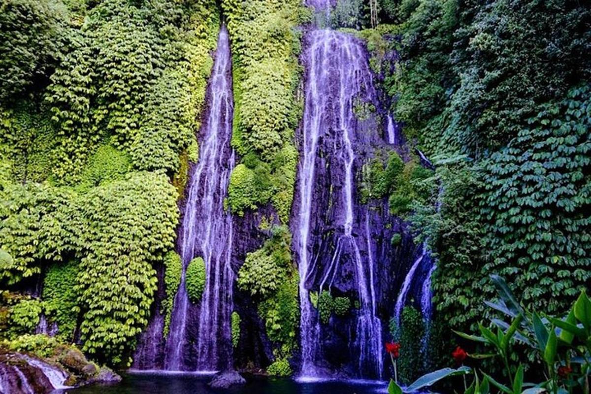una cascata in mezzo a una foresta