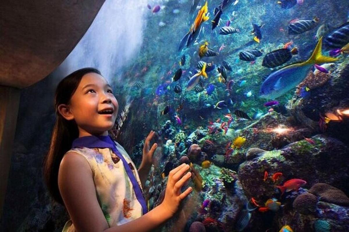 a little girl standing in front of a large aquarium