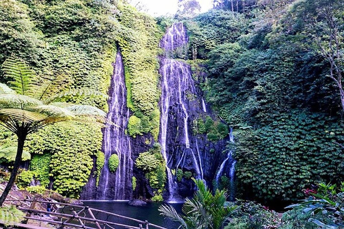 una cascata in mezzo a una foresta
