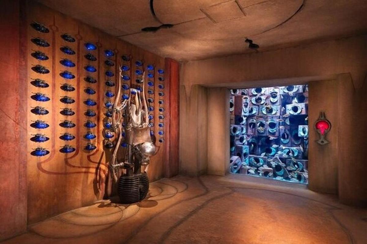 a room with a bunch of wine glasses on the wall