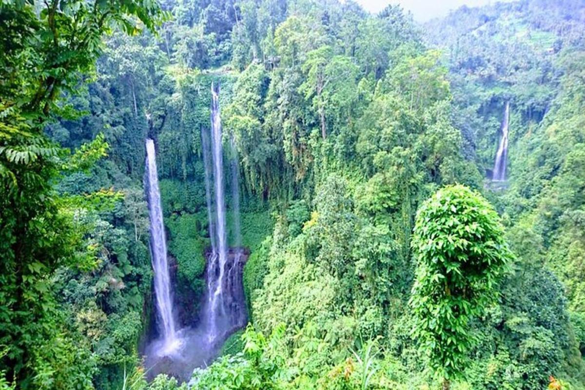 due cascate in mezzo a una foresta