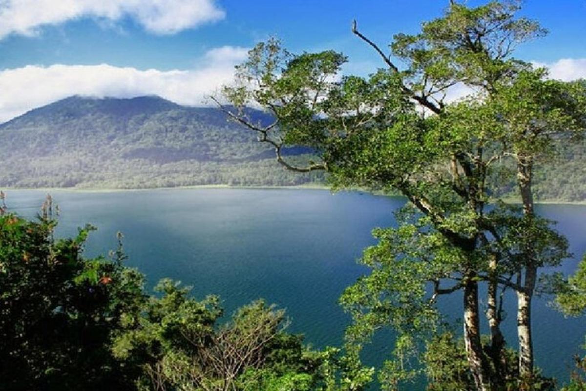 una vista di un lago con alberi e una montagna