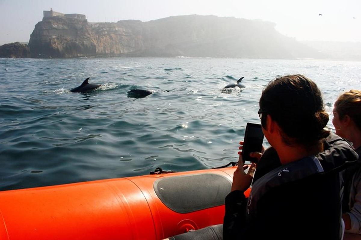 a woman taking a picture of two dolphins in the water