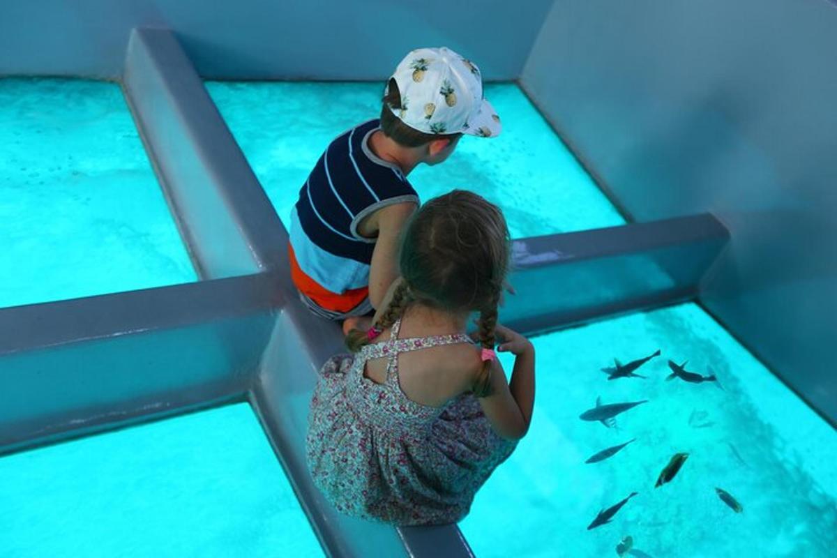 un nen i una nena mirant peixos en un aquari
