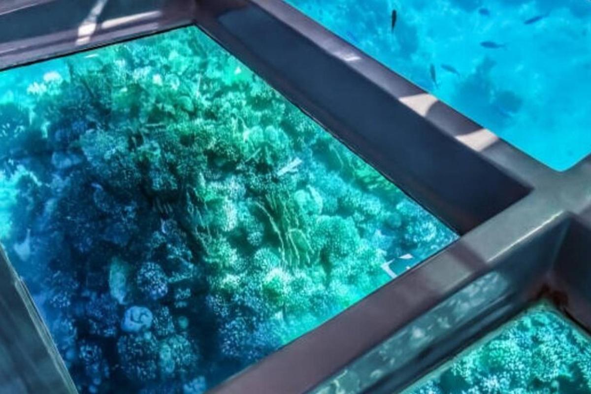 una vista de l'oceà des de l'interior d'un aquari
