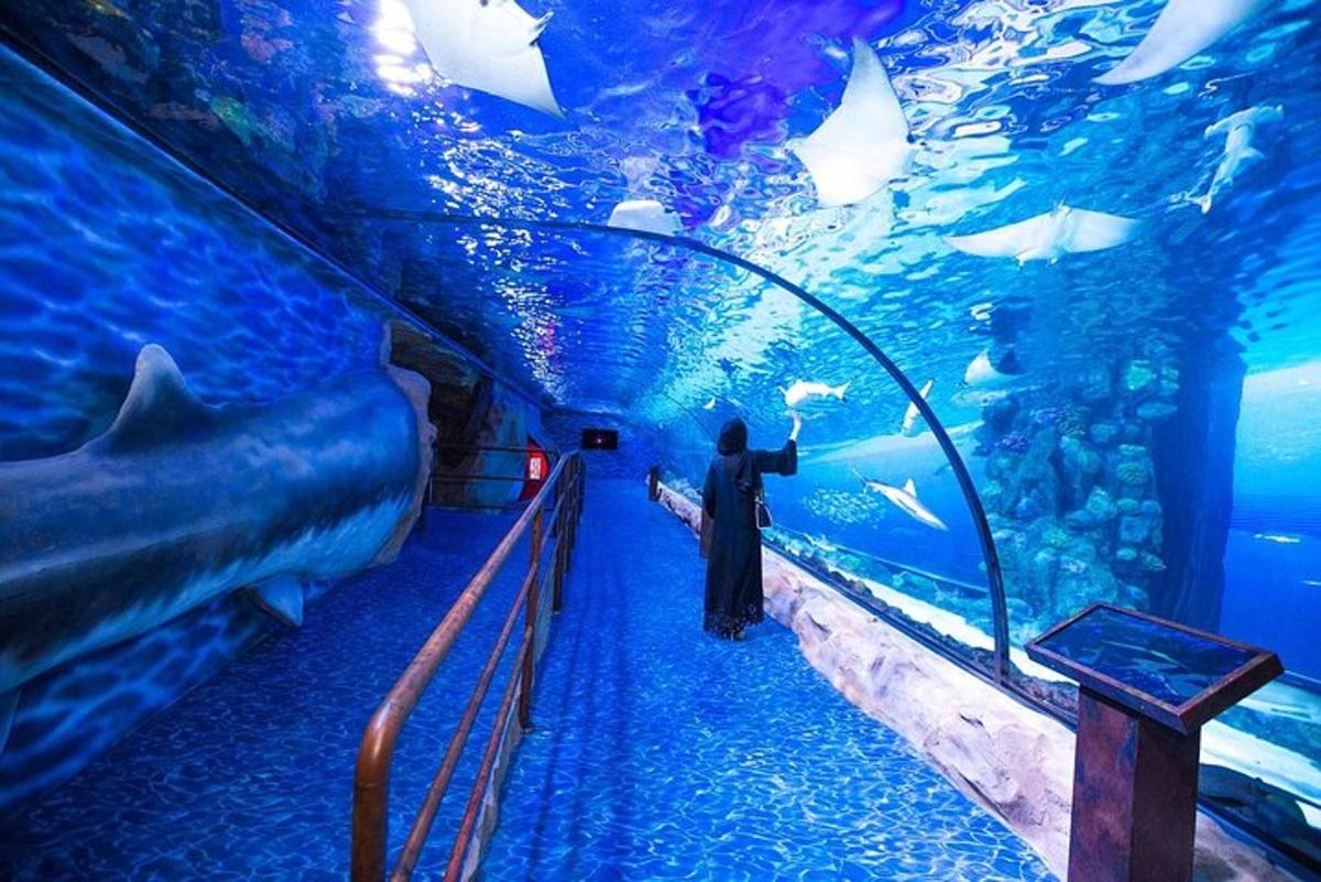 Attraction picture 2