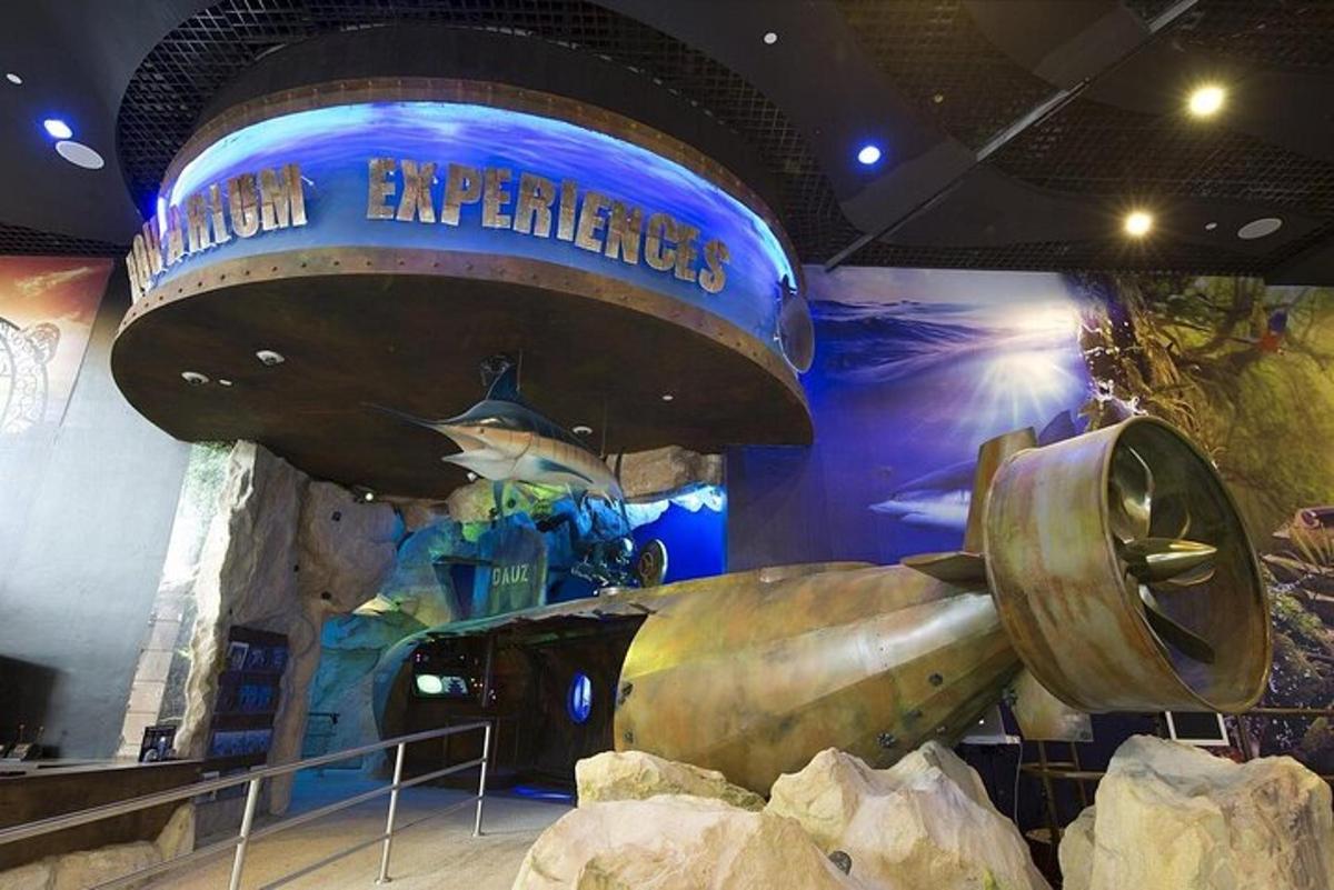 a large exhibit of an aquarium with a submarine