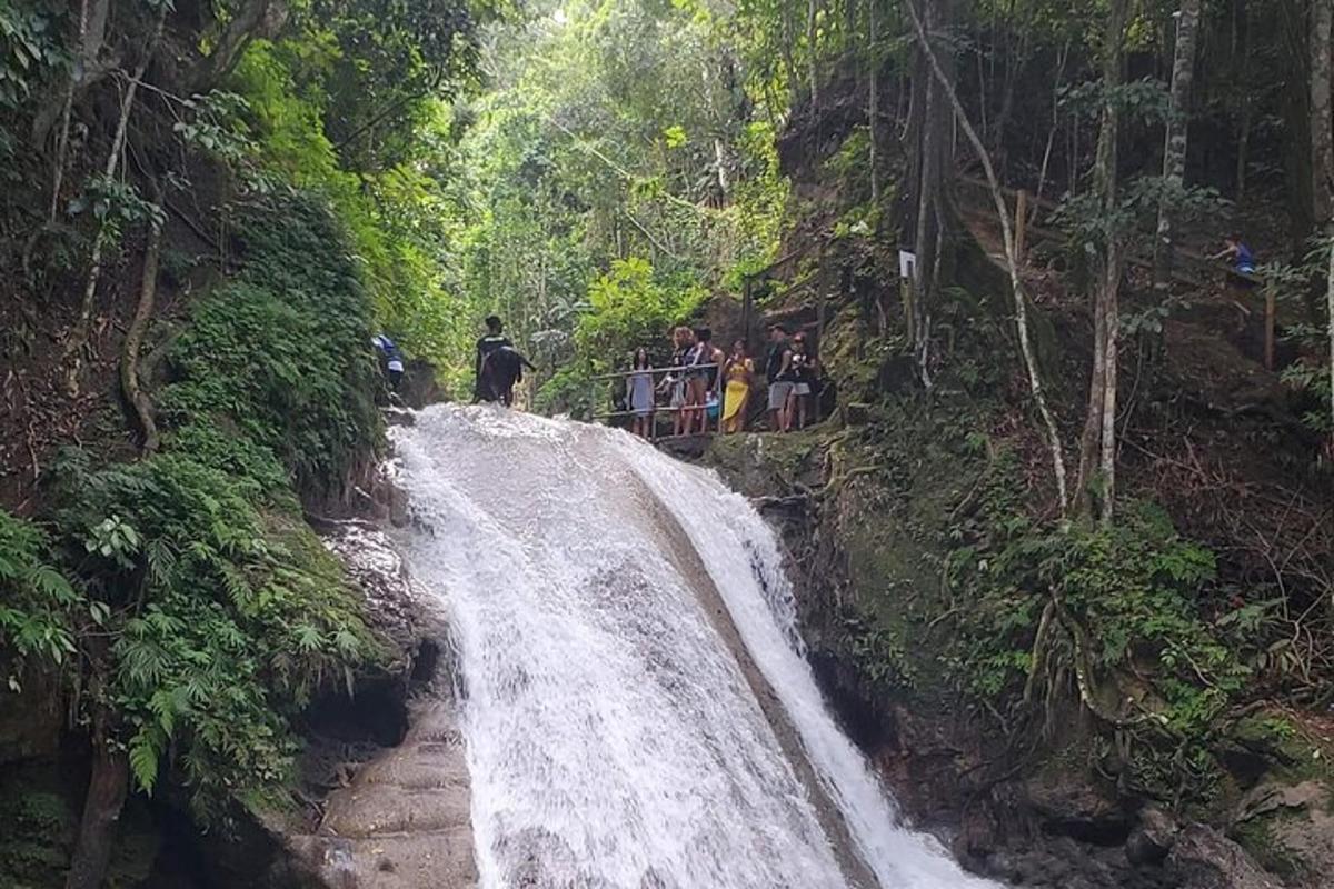 Foto 6 da atração