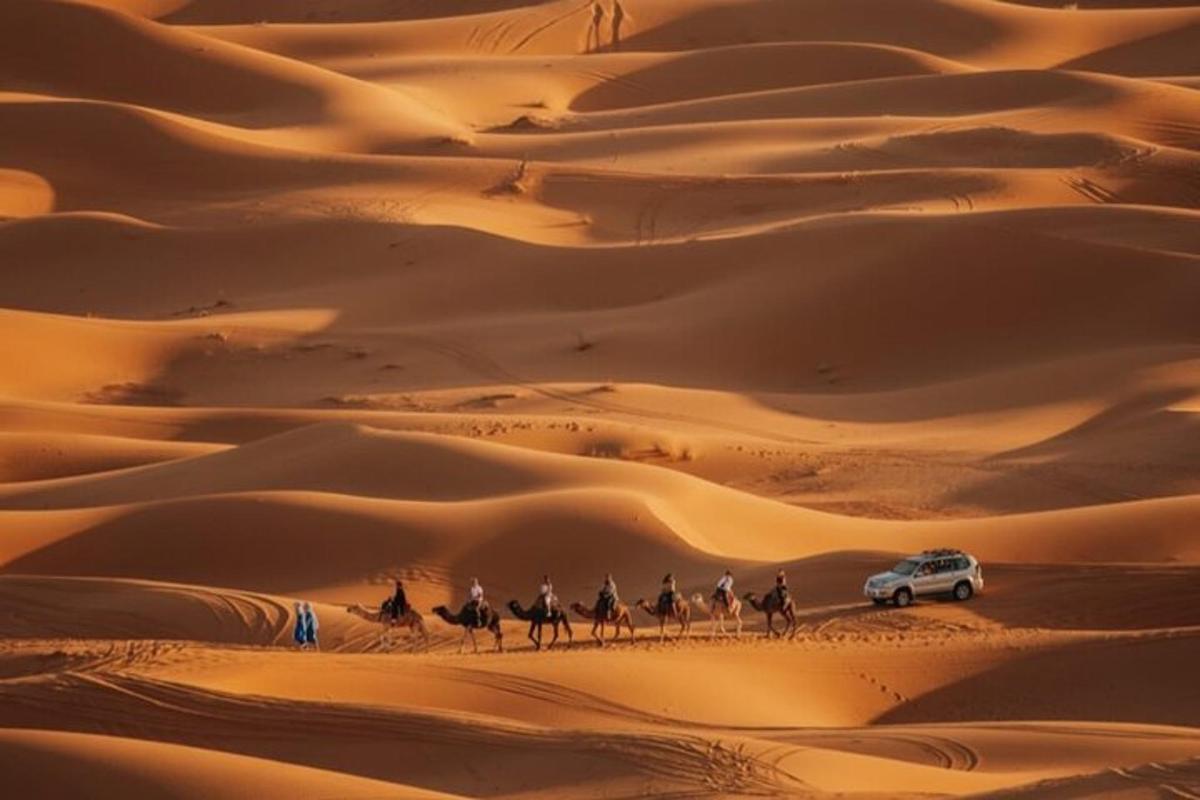 une caravane de chameaux dans les dunes de sable du désert